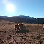 Nuevos Con Encanto Fio De Neu Lägenhet Laspaúles