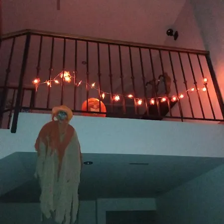 Nuevos Con Encanto Fio De Neu * Laspaúles