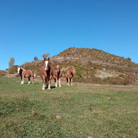 アパート Nuevos Con Encanto Fio De Neu *