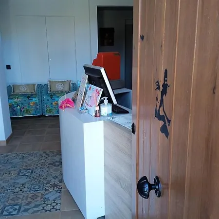 Apartamentos Fio De Neu Con Ascensor, Jardin, Gym Y Parking Privado *