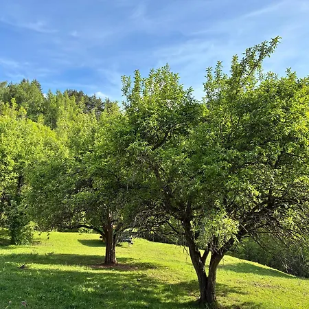 Apartamentos Fio De Neu Con Jardin, Gimnasio, Barbacoa דירה