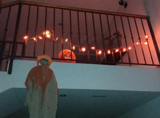 Nuevos Con Encanto Fio De Neu * Laspaúles