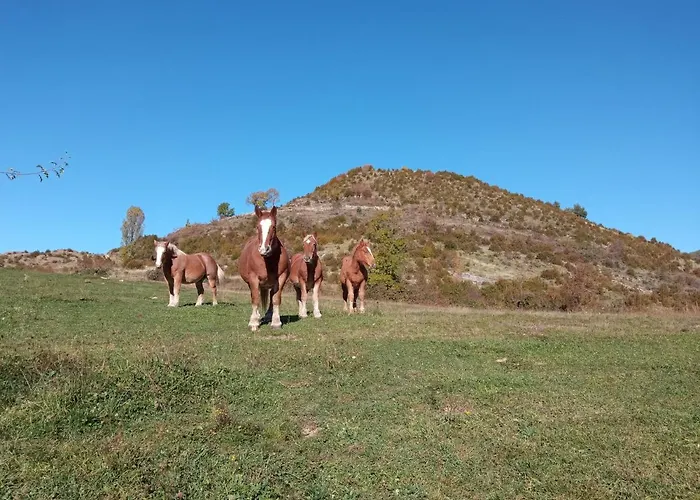 Lägenhet Nuevos Con Encanto Fio De Neu *