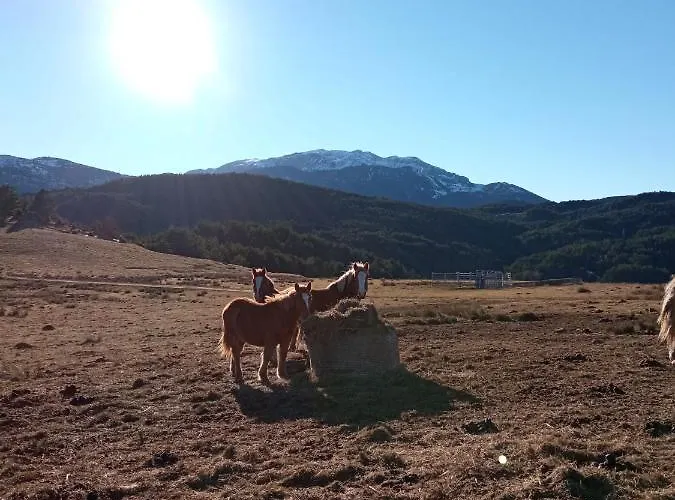 Nuevos Con Encanto Fio De Neu Lägenhet Laspaúles