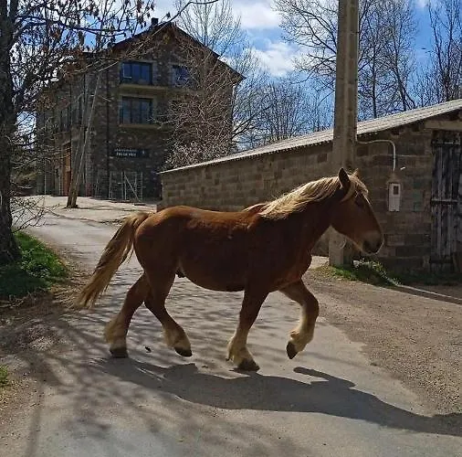 Lägenhet Nuevos Con Encanto Fio De Neu Laspaúles